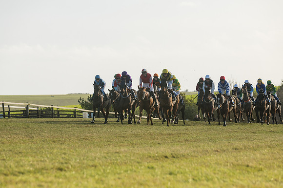 Race 4 - Veteran Horses (69 of 167)
