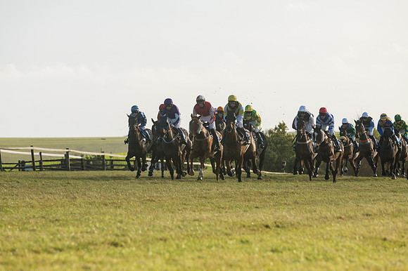 Race 4 - Veteran Horses (70 of 167)