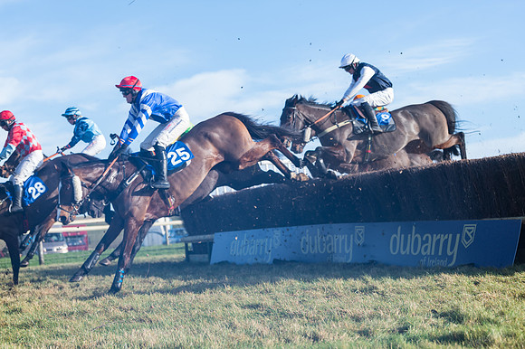Race 4 - Veteran Horses (71 of 167)