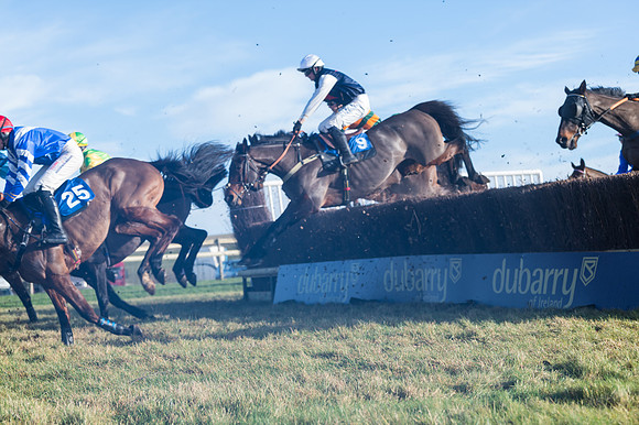 Race 4 - Veteran Horses (73 of 167)