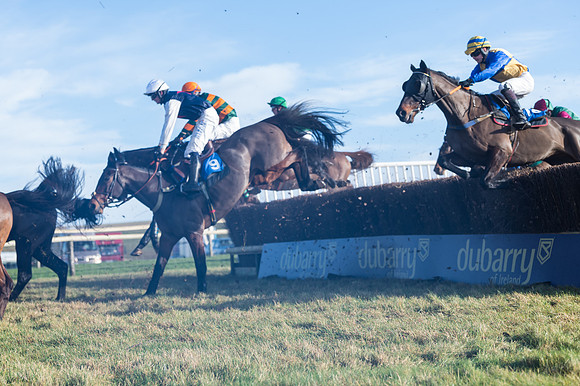 Race 4 - Veteran Horses (75 of 167)
