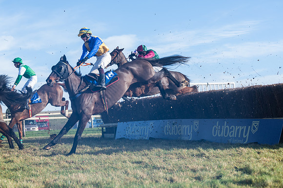 Race 4 - Veteran Horses (77 of 167)