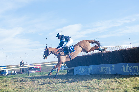 Race 4 - Veteran Horses (83 of 167)