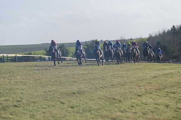 Race 4 - Veteran Horses (84 of 167)