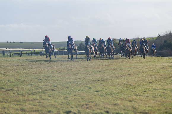 Race 4 - Veteran Horses (85 of 167)