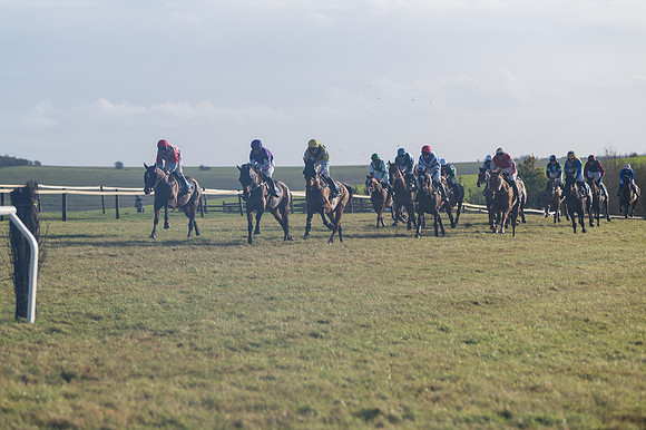 Race 4 - Veteran Horses (86 of 167)