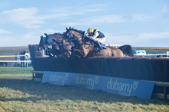 Race 4 - Veteran Horses (88 of 167)