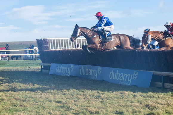 Race 4 - Veteran Horses (93 of 167)