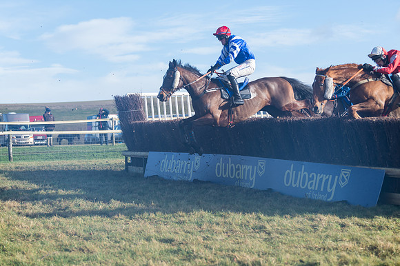 Race 4 - Veteran Horses (94 of 167)