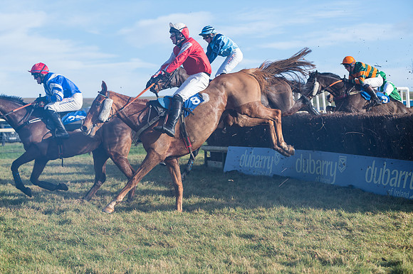 Race 4 - Veteran Horses (99 of 167)