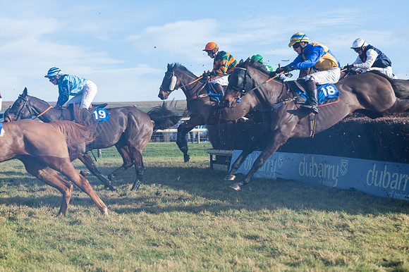 Race 4 - Veteran Horses (100 of 167)