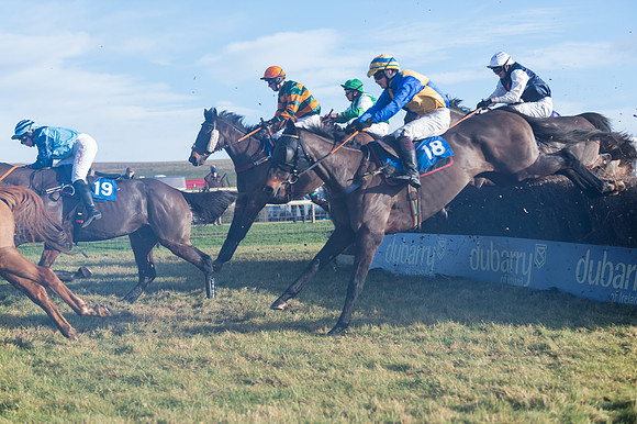 Race 4 - Veteran Horses (101 of 167)