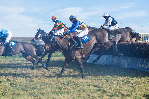 Race 4 - Veteran Horses (102 of 167)