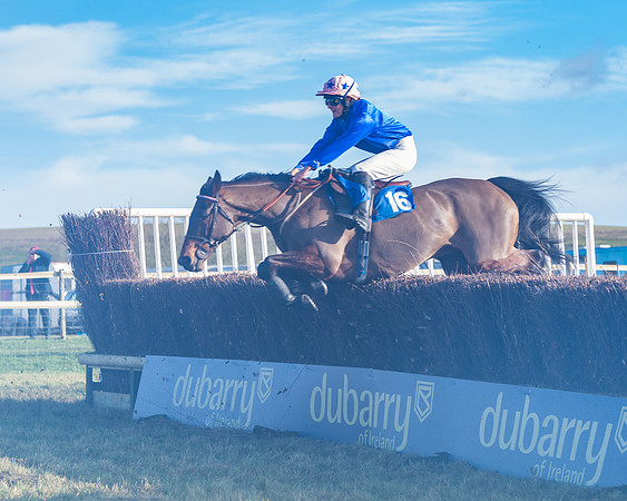 Race 4 - Veteran Horses (110 of 167)