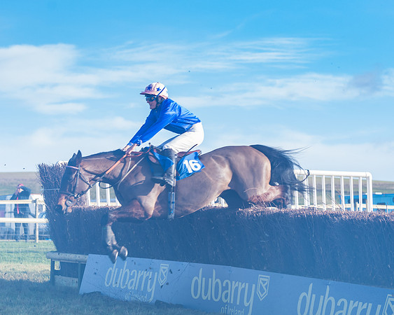 Race 4 - Veteran Horses (111 of 167)