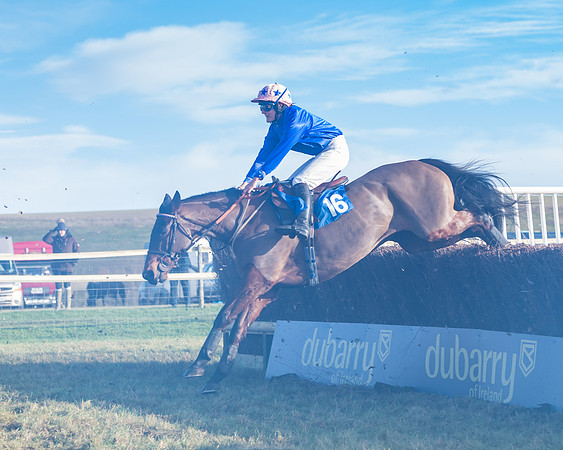 Race 4 - Veteran Horses (112 of 167)
