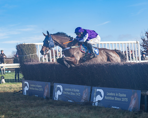 Race 4 - Veteran Horses (113 of 167)