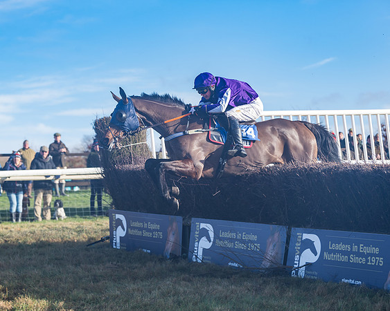 Race 4 - Veteran Horses (114 of 167)