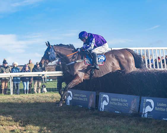 Race 4 - Veteran Horses (115 of 167)
