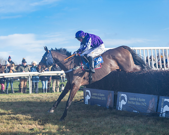 Race 4 - Veteran Horses (116 of 167)