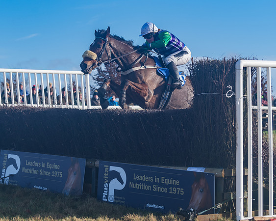Race 4 - Veteran Horses (117 of 167)