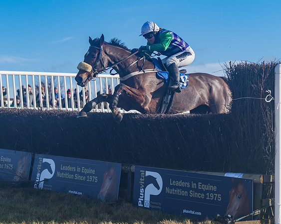 Race 4 - Veteran Horses (118 of 167)