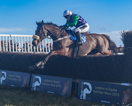 Race 4 - Veteran Horses (119 of 167)