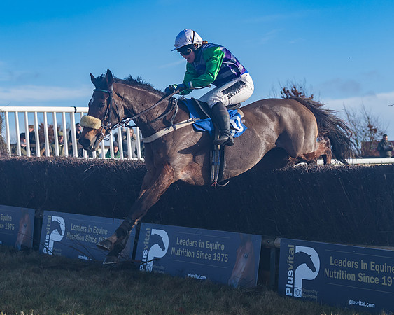 Race 4 - Veteran Horses (120 of 167)