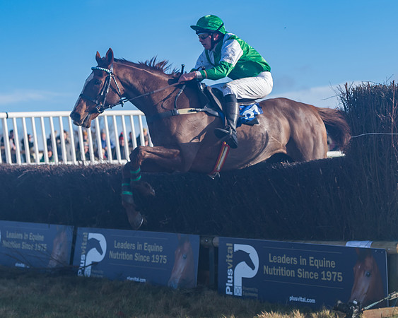 Race 4 - Veteran Horses (121 of 167)