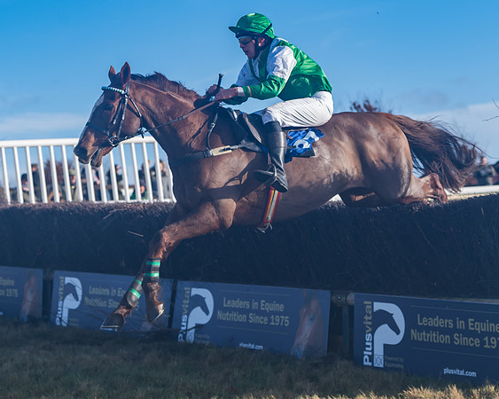 Race 4 - Veteran Horses (122 of 167)