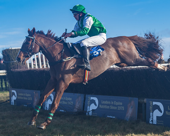 Race 4 - Veteran Horses (123 of 167)