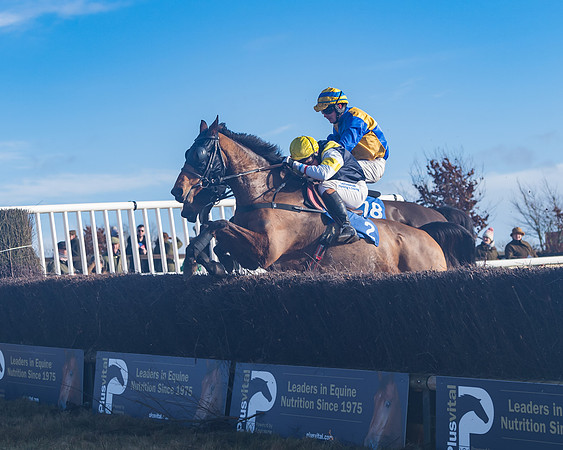 Race 4 - Veteran Horses (124 of 167)