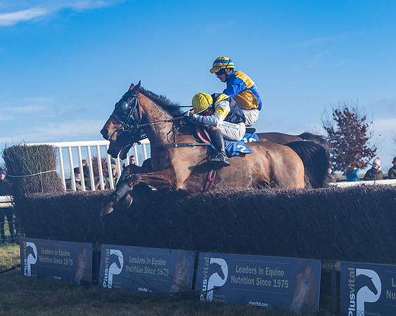 Race 4 - Veteran Horses (125 of 167)