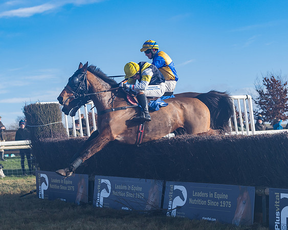 Race 4 - Veteran Horses (126 of 167)