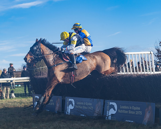 Race 4 - Veteran Horses (127 of 167)