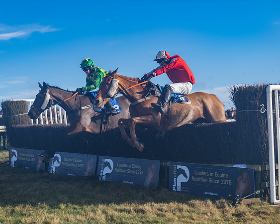 Race 4 - Veteran Horses (129 of 167)