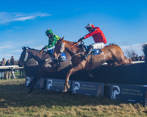 Race 4 - Veteran Horses (130 of 167)