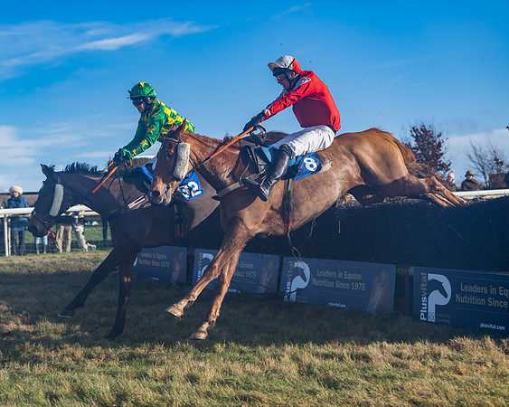 Race 4 - Veteran Horses (131 of 167)
