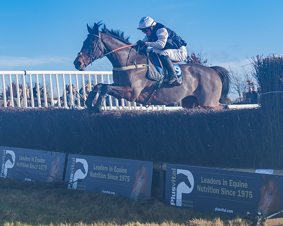 Race 4 - Veteran Horses (132 of 167)