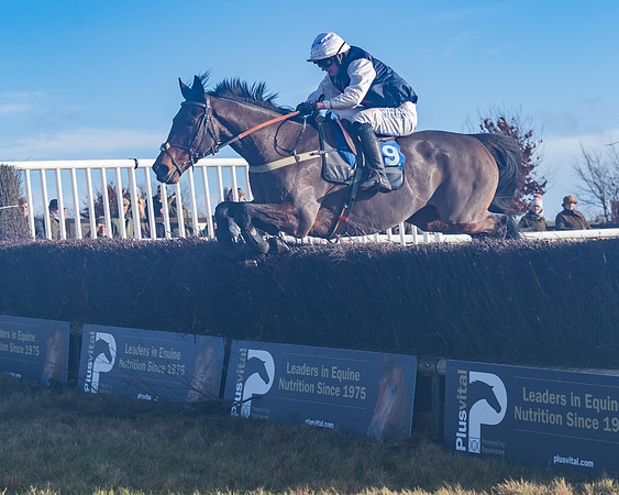 Race 4 - Veteran Horses (133 of 167)