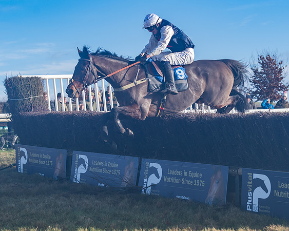 Race 4 - Veteran Horses (134 of 167)