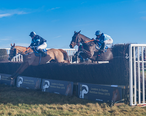 Race 4 - Veteran Horses (135 of 167)