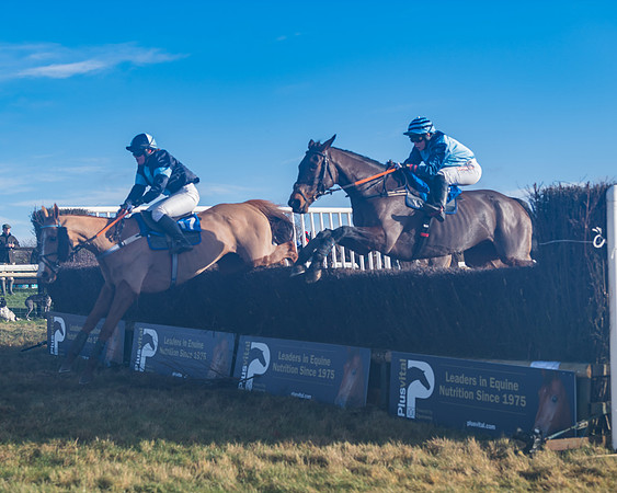 Race 4 - Veteran Horses (136 of 167)