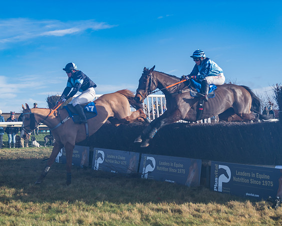 Race 4 - Veteran Horses (137 of 167)