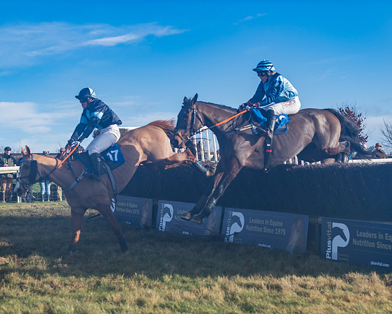 Race 4 - Veteran Horses (138 of 167)