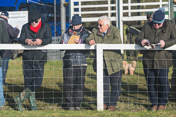 Race 4 - Veteran Horses (153 of 167)