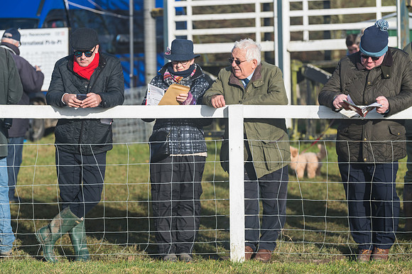 Race 4 - Veteran Horses (154 of 167)