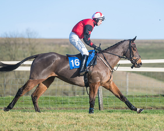 Race 5 - Mixed Open  (44 of 149)