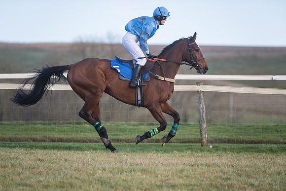 Race 6 - Novice Riders Div 1  (29 of 155)