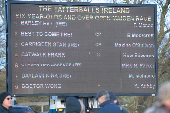 Race 8 - Open Maiden (1 of 214)
